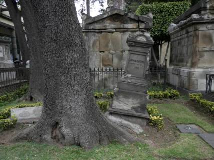 1452442_10202338327726710_336424132_n